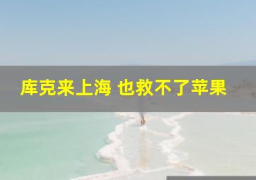 库克来上海 也救不了苹果